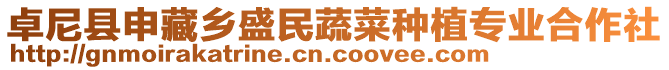 卓尼縣申藏鄉(xiāng)盛民蔬菜種植專業(yè)合作社