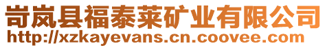 岢嵐縣福泰萊礦業(yè)有限公司