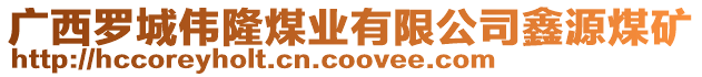 廣西羅城偉隆煤業(yè)有限公司鑫源煤礦