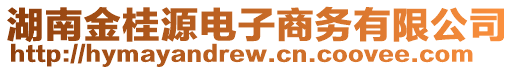 湖南金桂源電子商務(wù)有限公司