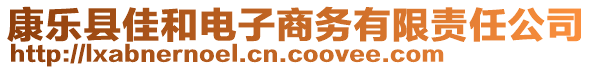 康樂縣佳和電子商務有限責任公司