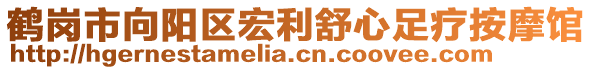 鶴崗市向陽區(qū)宏利舒心足療按摩館