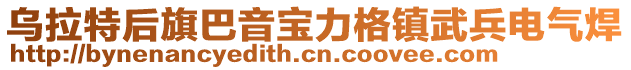烏拉特后旗巴音寶力格鎮武兵電氣焊