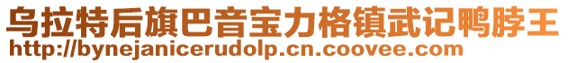 烏拉特后旗巴音寶力格鎮(zhèn)武記鴨脖王