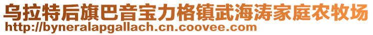 烏拉特后旗巴音寶力格鎮武海濤家庭農牧場