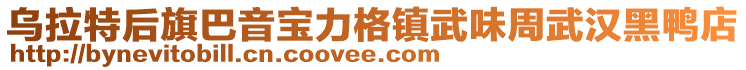 烏拉特后旗巴音寶力格鎮(zhèn)武味周武漢黑鴨店