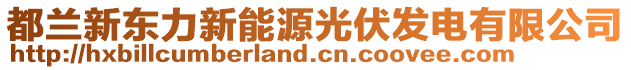 都蘭新東力新能源光伏發(fā)電有限公司