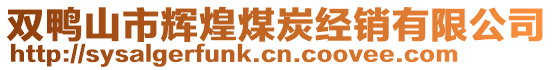 雙鴨山市輝煌煤炭經(jīng)銷有限公司