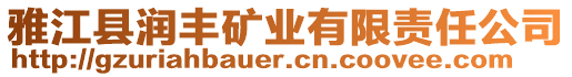 雅江縣潤豐礦業有限責任公司
