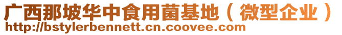 廣西那坡華中食用菌基地（微型企業(yè)）