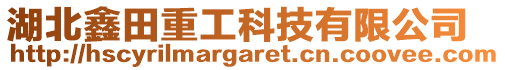 湖北鑫田重工科技有限公司