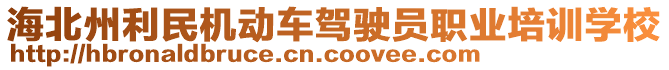 海北州利民機動車駕駛員職業(yè)培訓學校