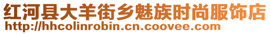 红河县大羊街乡魅族时尚服饰店