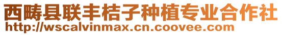 西疇縣聯(lián)豐桔子種植專業(yè)合作社