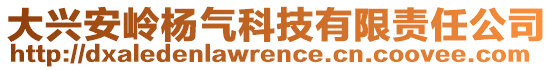 大興安嶺楊氣科技有限責(zé)任公司