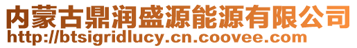 內(nèi)蒙古鼎潤盛源能源有限公司