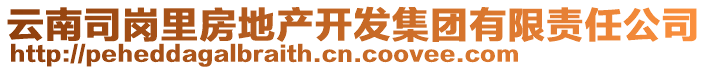 云南司崗里房地產開發集團有限責任公司