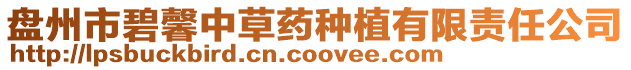 盤州市碧馨中草藥種植有限責任公司