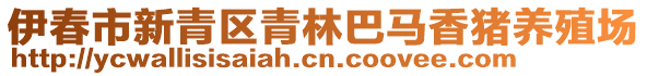 伊春市新青區(qū)青林巴馬香豬養(yǎng)殖場