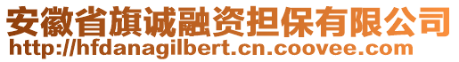 安徽省旗诚融资担保有限公司