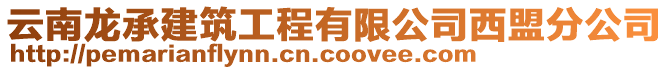 云南龍承建筑工程有限公司西盟分公司