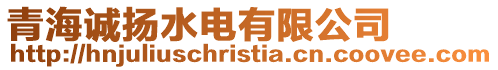 青海誠揚水電有限公司