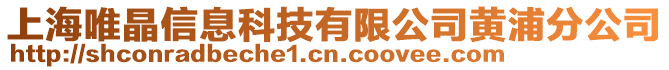 上海唯晶信息科技有限公司黃浦分公司