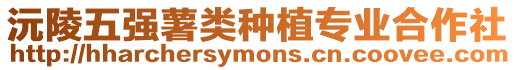 沅陵五強薯類種植專業(yè)合作社