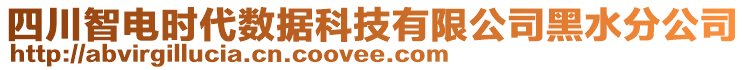 四川智電時代數(shù)據(jù)科技有限公司黑水分公司