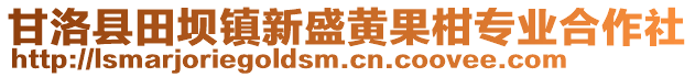 甘洛縣田壩鎮(zhèn)新盛黃果柑專(zhuān)業(yè)合作社