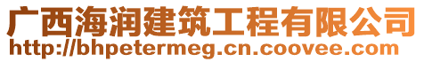 廣西海潤建筑工程有限公司