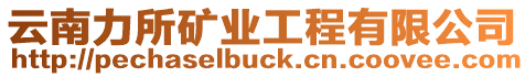 云南力所礦業工程有限公司