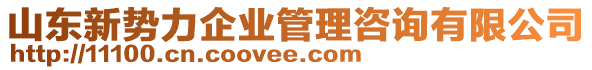 山東新勢力企業(yè)管理咨詢有限公司