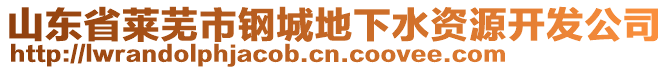 山東省萊蕪市鋼城地下水資源開發(fā)公司