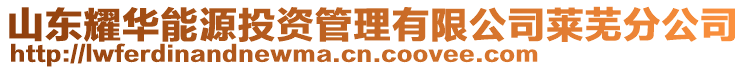 山東耀華能源投資管理有限公司萊蕪分公司