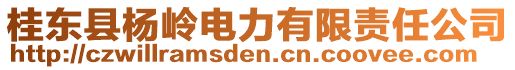 桂東縣楊嶺電力有限責(zé)任公司