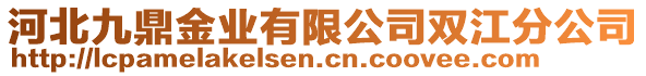 河北九鼎金業(yè)有限公司雙江分公司