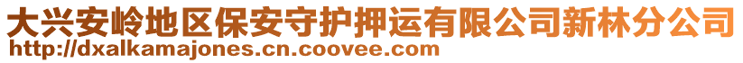 大兴安岭地区保安守护押运有限公司新林分公司