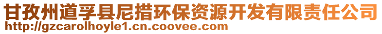 甘孜州道孚縣尼措環保資源開發有限責任公司