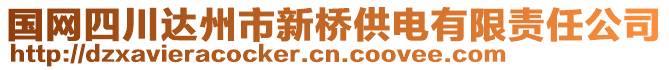 國網(wǎng)四川達(dá)州市新橋供電有限責(zé)任公司