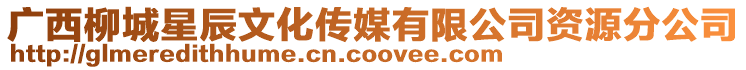 廣西柳城星辰文化傳媒有限公司資源分公司