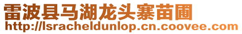 雷波縣馬湖龍頭寨苗圃