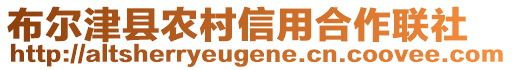 布爾津縣農(nóng)村信用合作聯(lián)社
