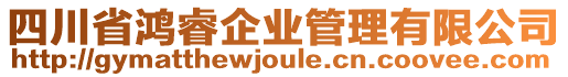 四川省鴻睿企業(yè)管理有限公司