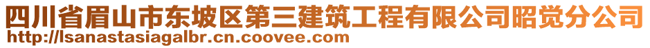 四川省眉山市東坡區(qū)第三建筑工程有限公司昭覺分公司