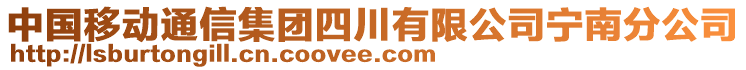 中國移動(dòng)通信集團(tuán)四川有限公司寧南分公司