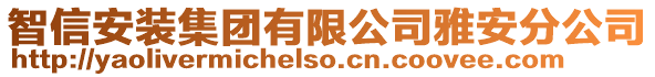 智信安裝集團有限公司雅安分公司
