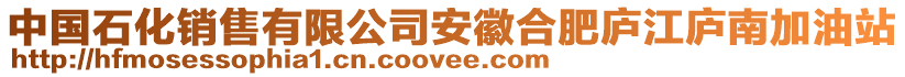 中国石化销售有限公司安徽合肥庐江庐南加油站