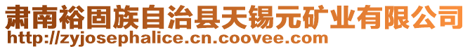 肅南裕固族自治縣天錫元礦業(yè)有限公司