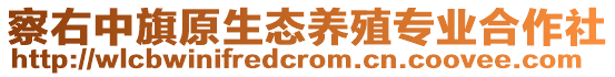 察右中旗原生態(tài)養(yǎng)殖專業(yè)合作社